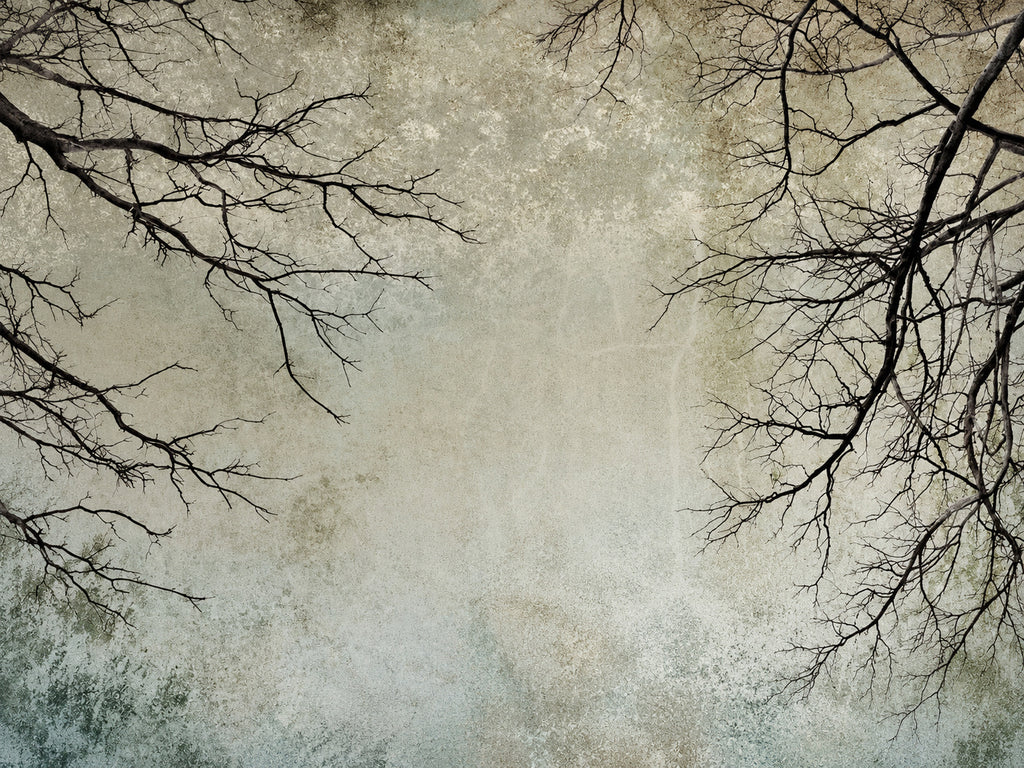 Papier peint panoramique Branches Noires sur Fond Patiné — vue du design seul