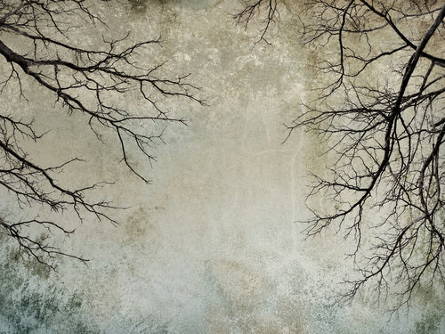 Papier peint panoramique Branches Noires sur Fond Patiné — vue du design seul