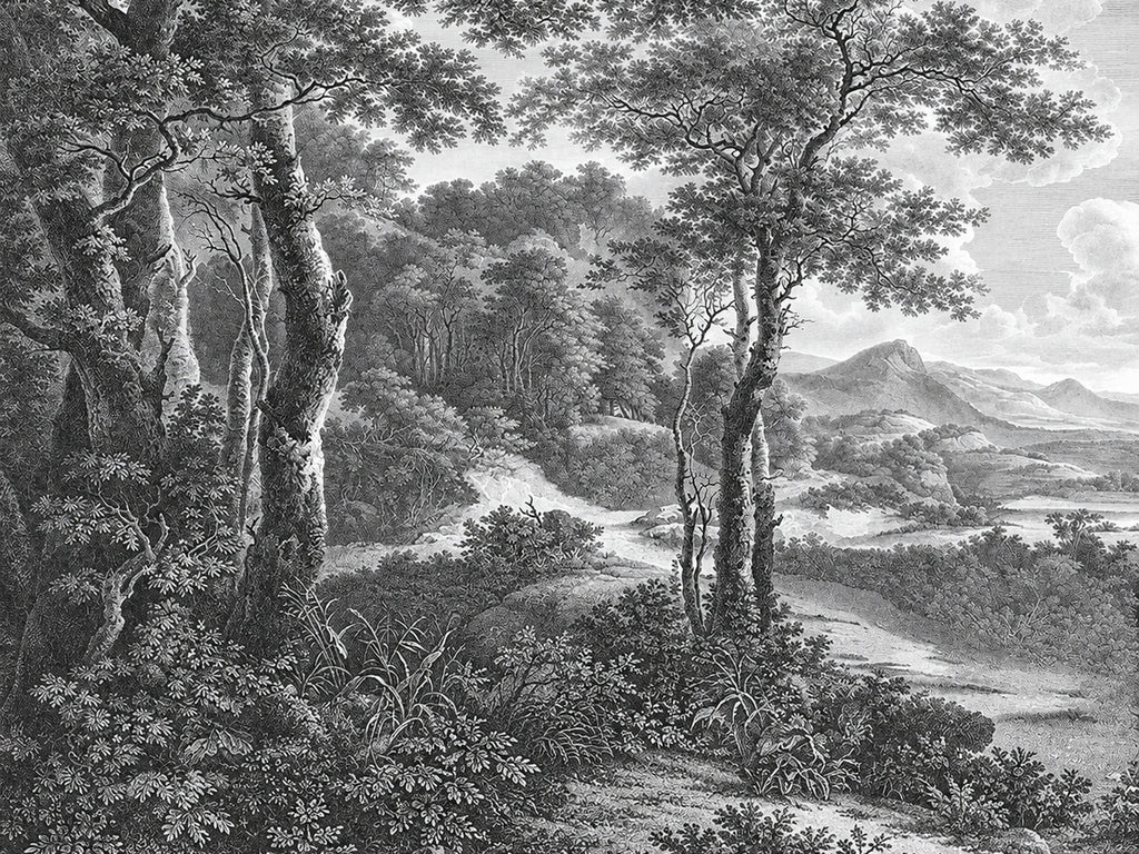 Papier peint panoramique Forêt Gravée en Noir et Blanc — vue du design seul