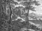 Papier peint panoramique Forêt Gravée en Noir et Blanc — vue du design seul