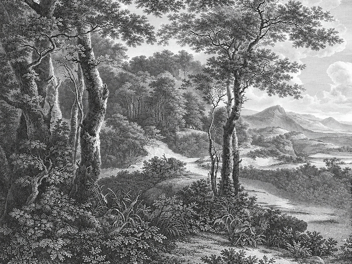 Papier peint panoramique Forêt Gravée en Noir et Blanc — vue du design seul